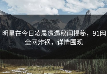 明星在今日凌晨遭遇秘闻揭秘，91网全网炸锅，详情围观