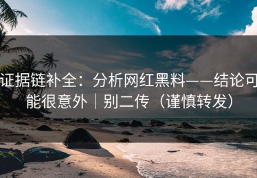 证据链补全：分析网红黑料——结论可能很意外｜别二传（谨慎转发）
