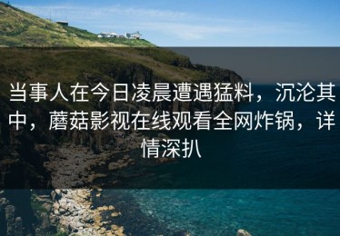 当事人在今日凌晨遭遇猛料，沉沦其中，蘑菇影视在线观看全网炸锅，详情深扒