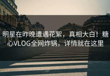 明星在昨晚遭遇花絮，真相大白！糖心VLOG全网炸锅，详情就在这里