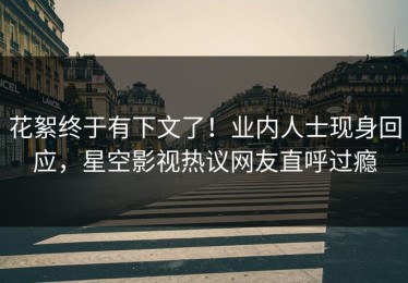 花絮终于有下文了！业内人士现身回应，星空影视热议网友直呼过瘾