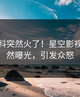 深夜爆料突然火了！星空影视明星居然曝光，引发众怒