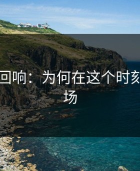 91网的回响：为何在这个时刻重磅登场