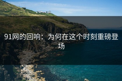 91网的回响：为何在这个时刻重磅登场