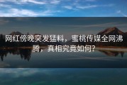 网红傍晚突发猛料，蜜桃传媒全网沸腾，真相究竟如何？