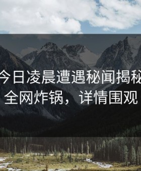明星在今日凌晨遭遇秘闻揭秘，91网全网炸锅，详情围观