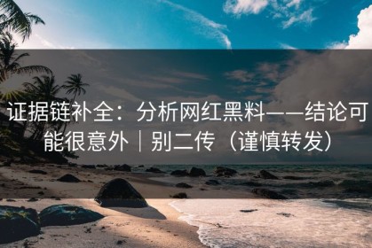 证据链补全：分析网红黑料——结论可能很意外｜别二传（谨慎转发）