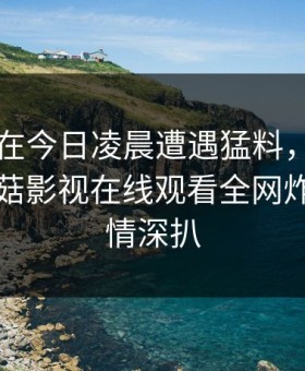 当事人在今日凌晨遭遇猛料，沉沦其中，蘑菇影视在线观看全网炸锅，详情深扒
