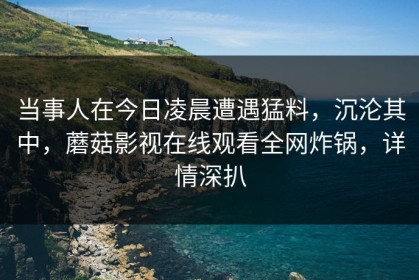 当事人在今日凌晨遭遇猛料，沉沦其中，蘑菇影视在线观看全网炸锅，详情深扒