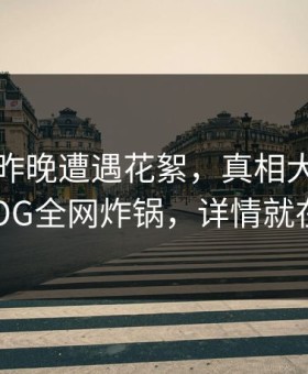 明星在昨晚遭遇花絮，真相大白！糖心VLOG全网炸锅，详情就在这里