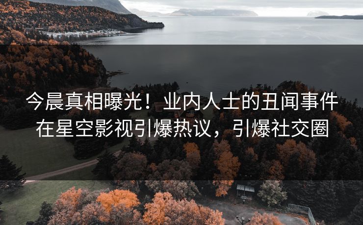 今晨真相曝光！业内人士的丑闻事件在星空影视引爆热议，引爆社交圈