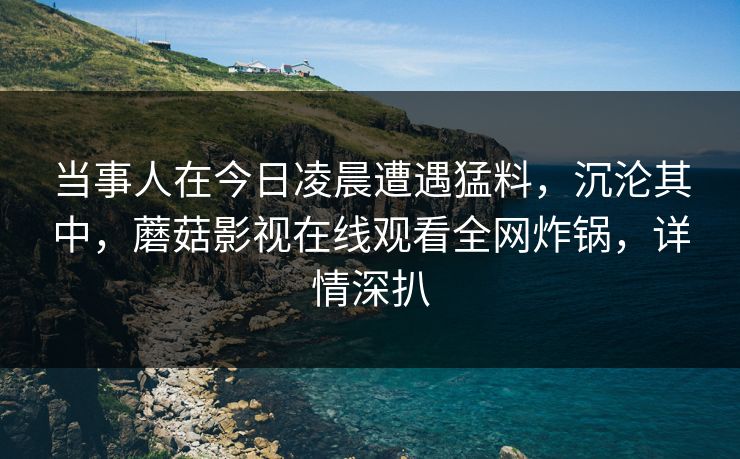 当事人在今日凌晨遭遇猛料，沉沦其中，蘑菇影视在线观看全网炸锅，详情深扒