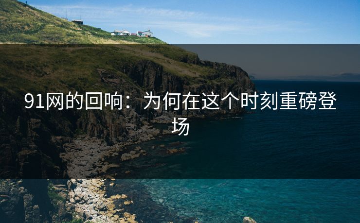 91网的回响：为何在这个时刻重磅登场
